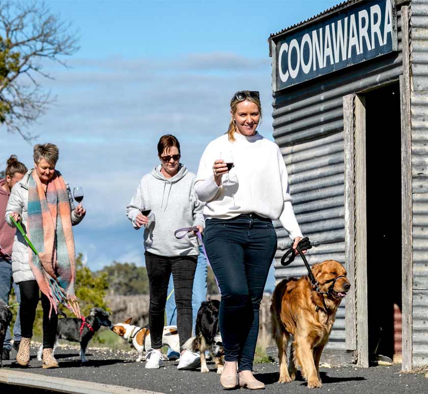 group of people walk dogs in coonawarra