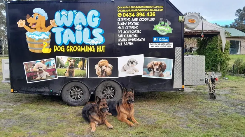 wag tails grooming hut with dogs
