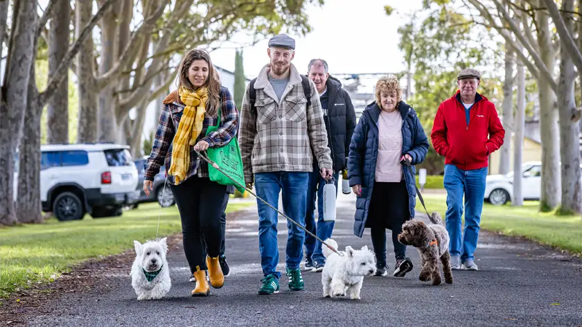 people walking with their dogs on the coonawarra woof and wine walk weekend