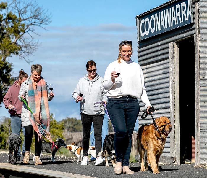 Group of people walk dogs with a glass of red wine in hand - Coonawarra.
