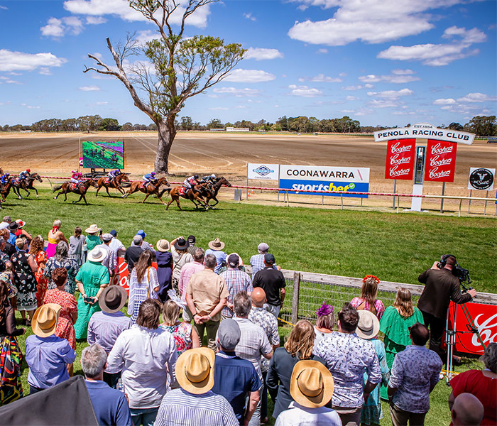 Horses race to the finish line at coonawarra cup