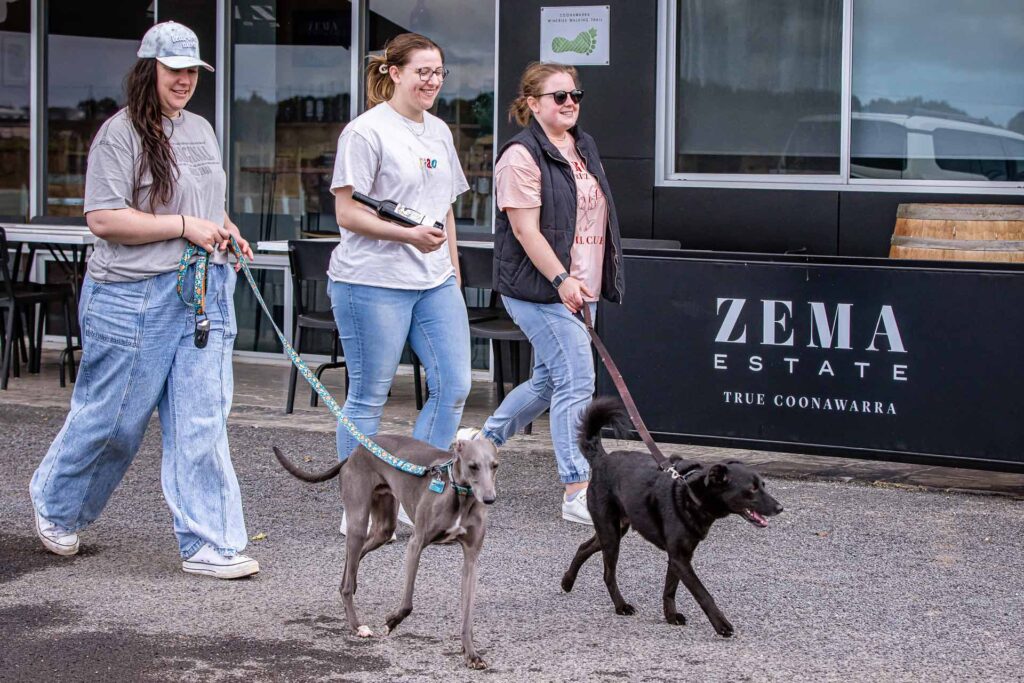 Three women take their dogs for a walk on lead at coonawarra winery