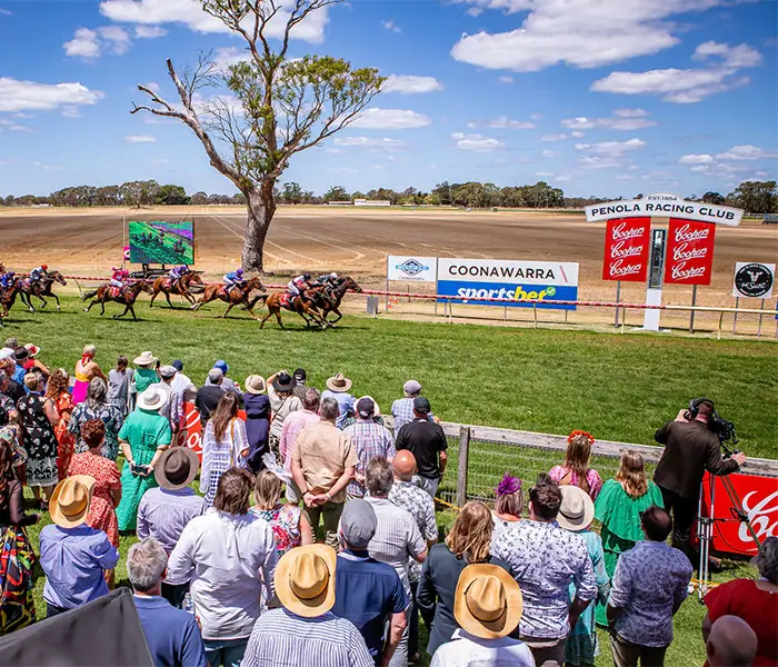 Horses race to the finish line at coonawarra cup