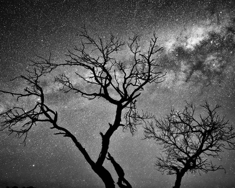 Constellations over coonawarra night sky with stars