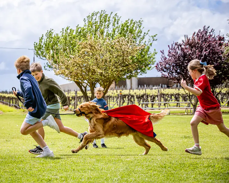 Kids and dogs run together on the Coonawarra Walking Trail