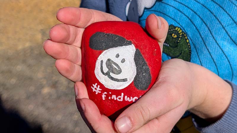 kid holds rock on woofs winter walk in coonawarra