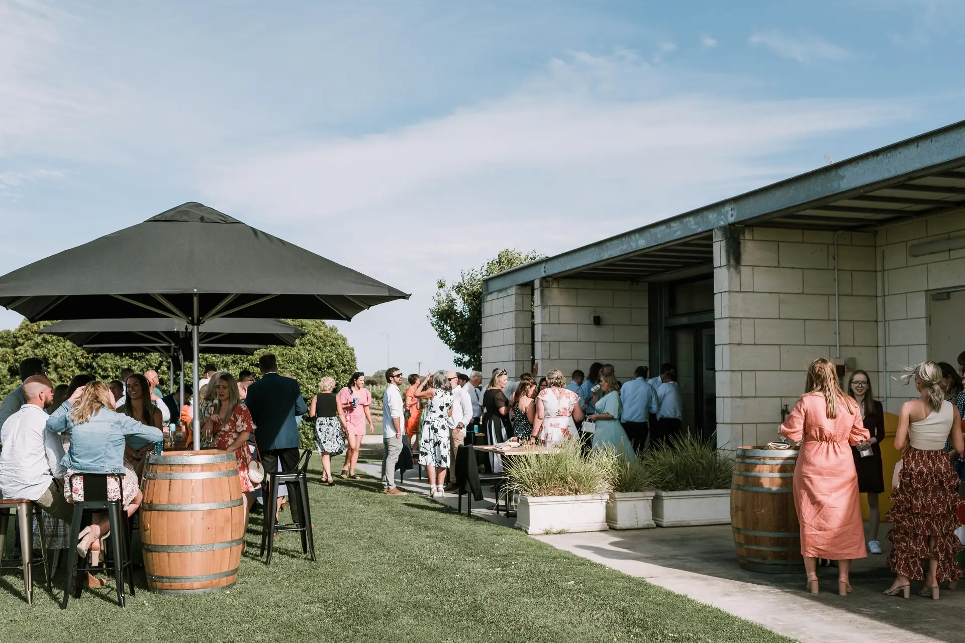 Cellar Dwellers Back vintage tasting - people gather outside at winery 