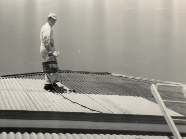 Demetrio zema painting houses on roof