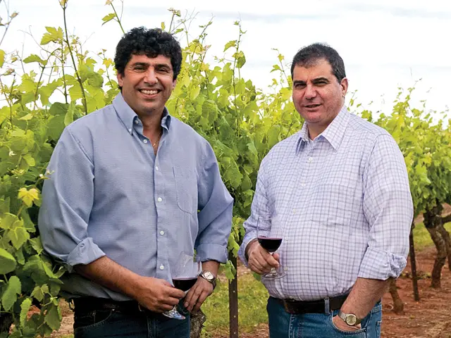 Nick and Matt Zema in vineyard