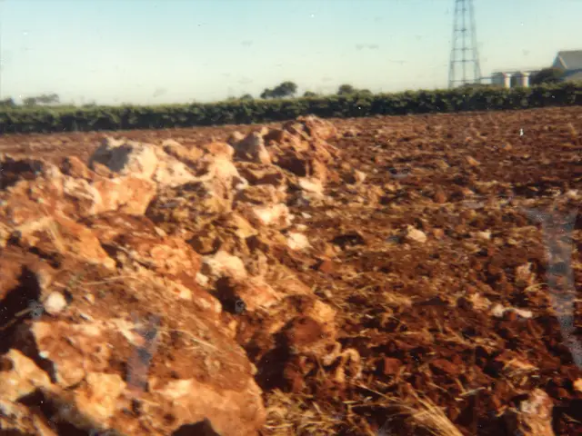 Terra rossa soil - with limestone