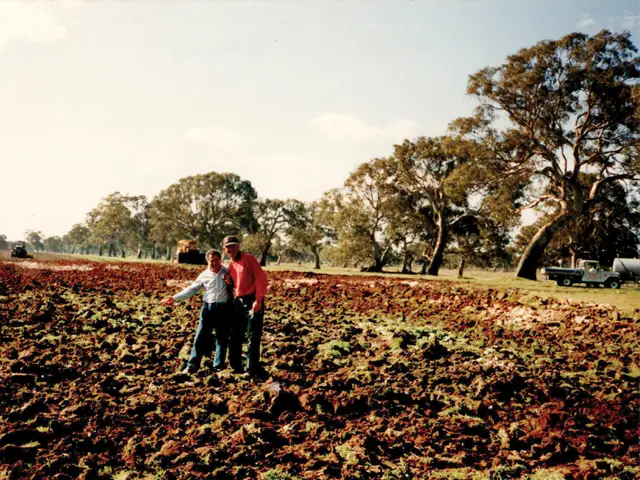 zema estate cluny vineyard