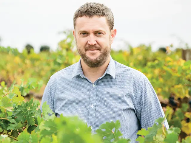 Joe Cory Zema Winemaker